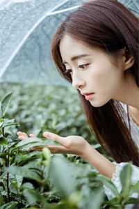 穿成恶婆婆，我被迫开启洗白模式