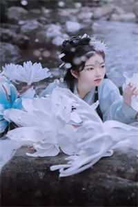 随着他们一出现