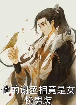 腹黑相公扮猪吃虎