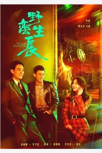 小裁缝的古代悠闲生活