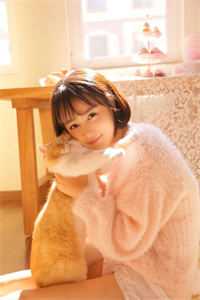 穿越之肥婆王妃要休夫