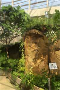 休夫后，全京城贵公子都求她再嫁