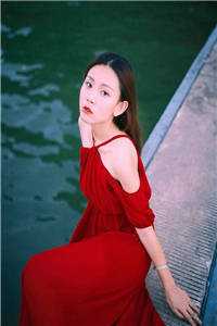 巅峰武婿