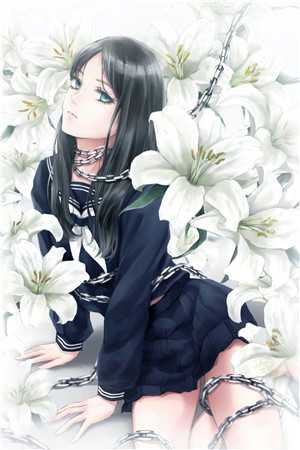 进化：从村里的大鹅进化成神兽