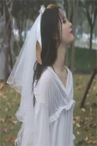 这就是钞能力