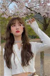 重生后，疯批美人每天都在撩人攻心