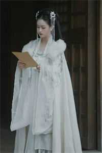 国医神婿