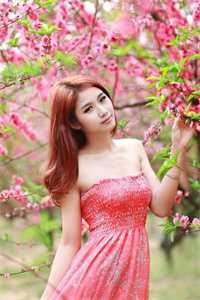 提出离婚后，夫人肚子揣宝了