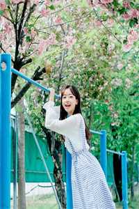 江湖儿女