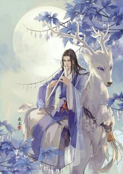 重生之嫁君欢