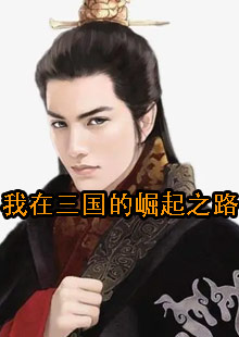 我在三国的崛起之路