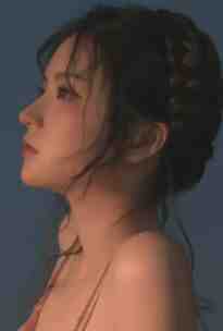 护妻狂婿