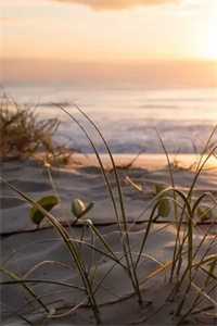 网游：偷窃神级，找boss进货