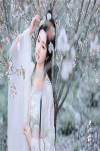 重生极品女婿