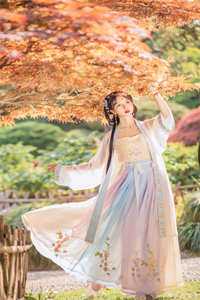 娇妻太全能，总裁追妻不易