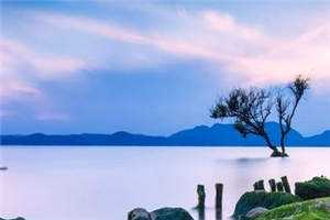 权宠医妃：新婚夜上门替嫁