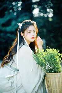 麻烦让让：本王悍妻很善妒