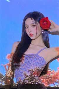 狂龙赘婿