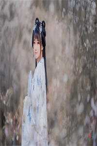 相思与君