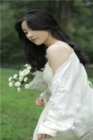商海女婿