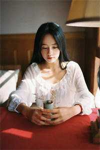 上门狼婿