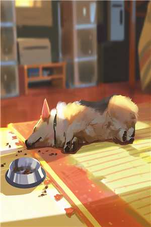 乡村教师