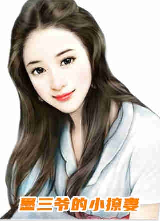 极品小医婿