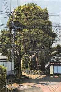 年下弟弟奶又撩