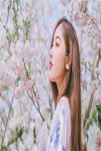 带崽归来：神医娘亲帅爆了