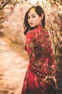 婚心叵测