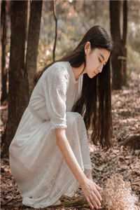 陛下！您家皇贵妃真没想争宠