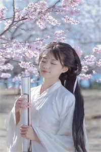 大佬求娶：女炮灰才是宝藏女孩