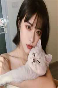 完美犯罪