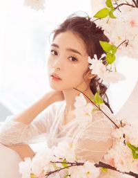 秦川夏婵重生后