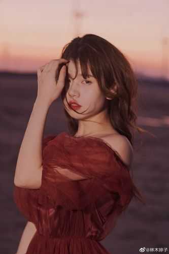 我的小燕儿