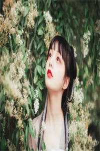重生之我大杀四方成三国战神