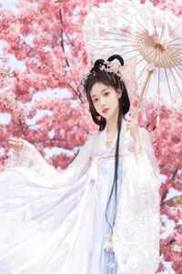 宋总别虐了，夫人她要二婚了