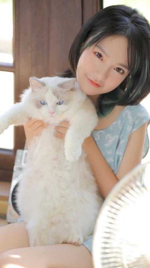 宝来升职记