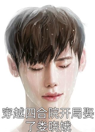 冰冷瓷女小说