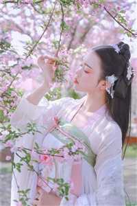 赶尸致富