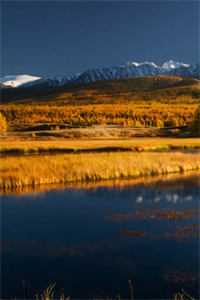 桑梨岑承霖全文