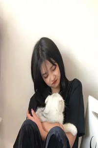 纸醉金迷