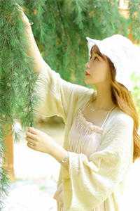 镇守边关,开局签到亿万天赋精校版