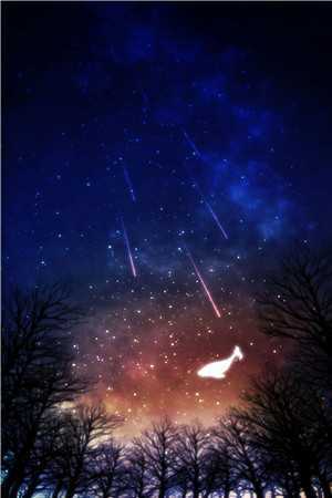靳泽宋晚星免费阅读