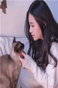 一错成婚：神秘总裁的新妻