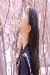 李慎李世民石头小说
