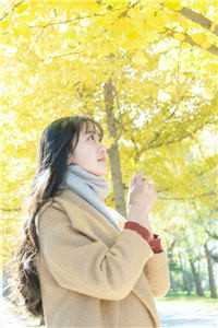 许莓陆知衍薛岑小说