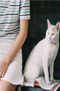 禀告首辅，夫人她又去给你物色美女了