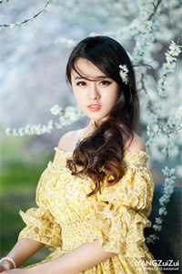 宋晓婉陆原野小说