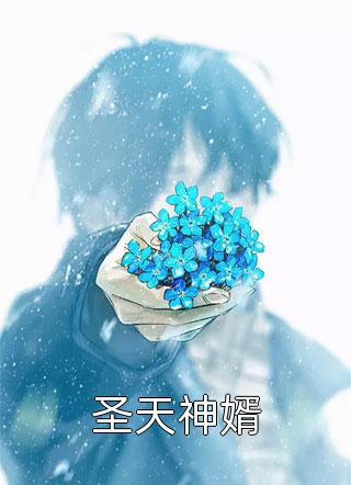慕少私宠闪婚甜妻